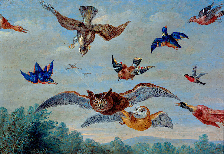 Jan Van Kessel dit l’Ancien - Oiseaux - XVIIe siècle